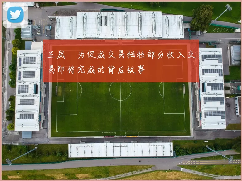 王岚嵚为促成交易牺牲部分收入交易即将完成的背后故事